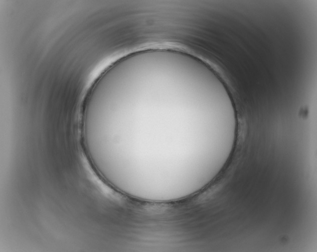 X0000110761046200906150925