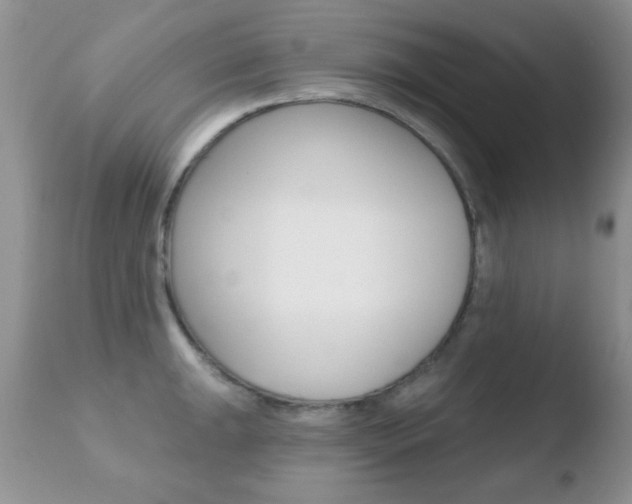 X0000110761047200906150925