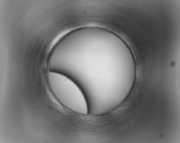 X0000110761048200906150925