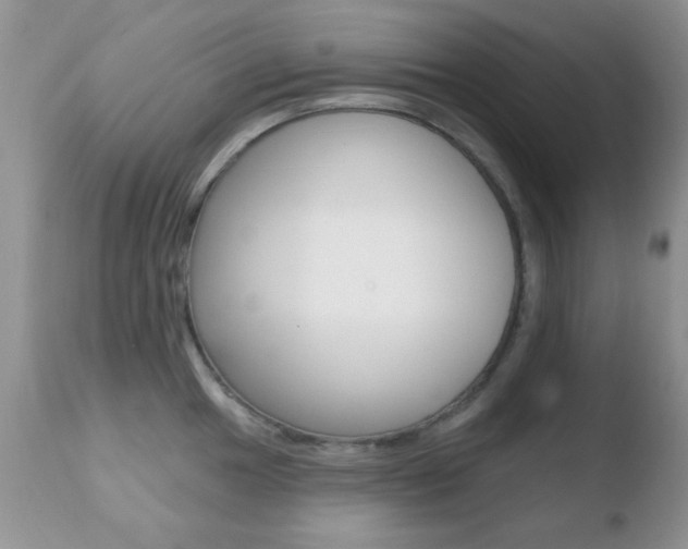X0000110761049200906150925
