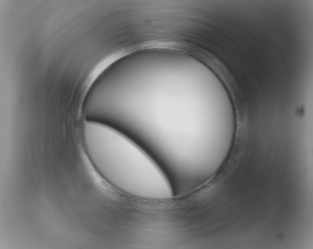 X0000110761050200906150925