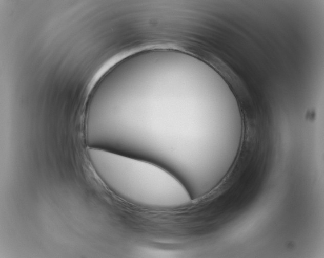 X0000110761052200906150925