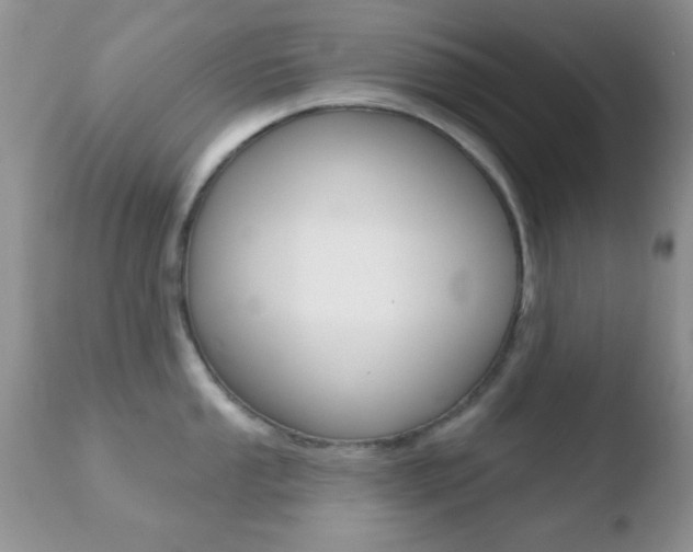 X0000110761053200906150925