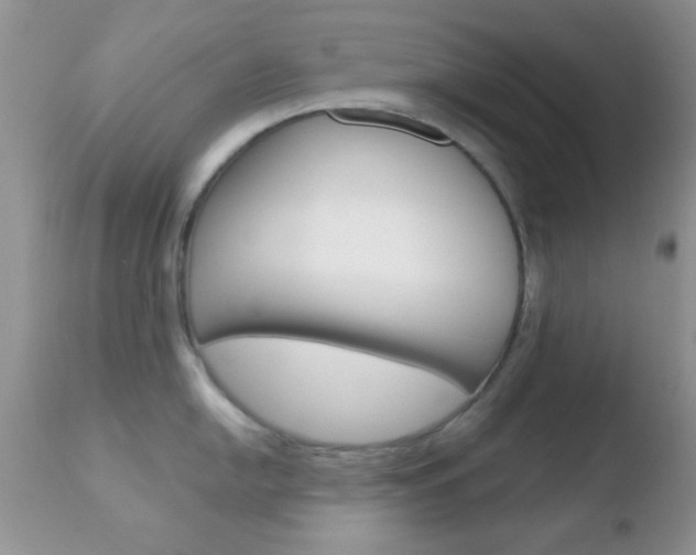 X0000110761054200906150925