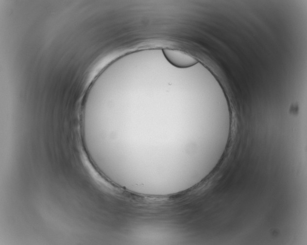 X0000110761055200906150925