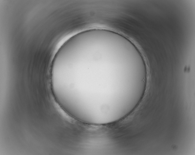 X0000110761056200906150925