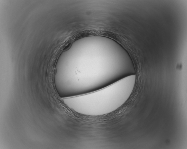 X0000110761057200906150925