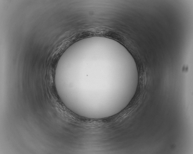 X0000110761058200906150925