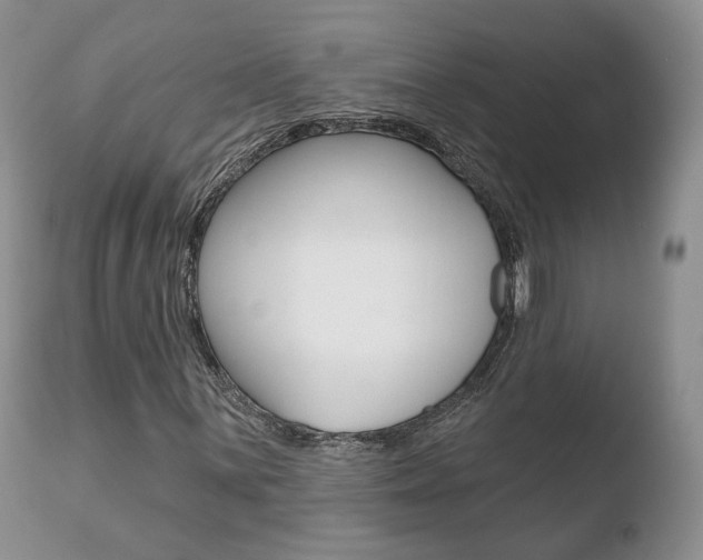 X0000110761059200906150925