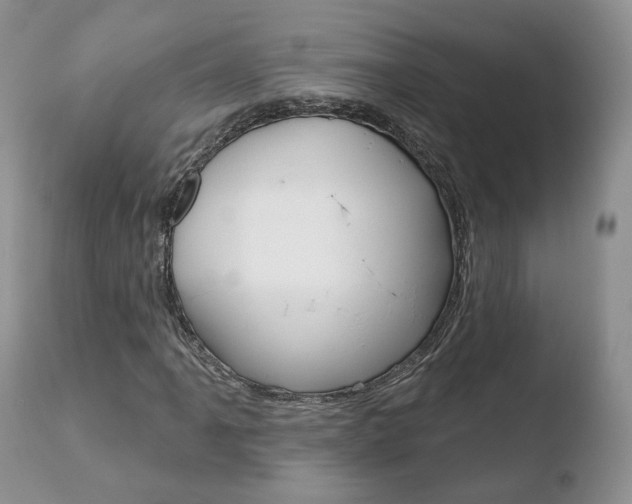 X0000110761061200906150925