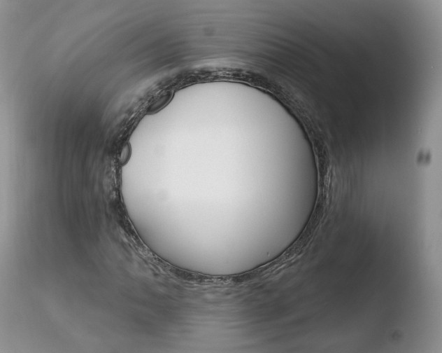 X0000110761062200906150925