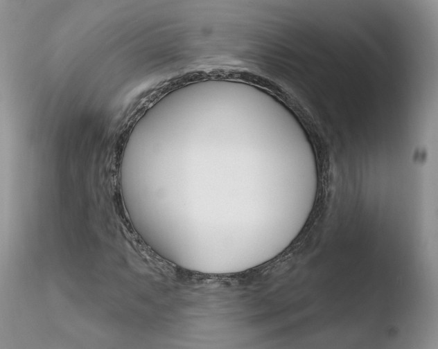 X0000110761063200906150925