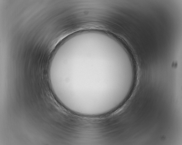 X0000110761065200906150925