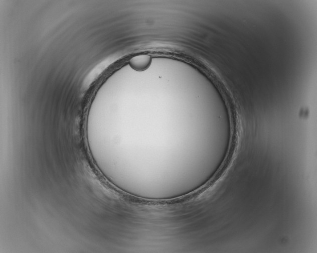 X0000110761066200906150925