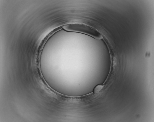 X0000110761068200906150925