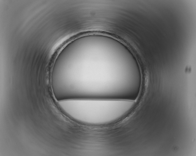 X0000110761069200906150925