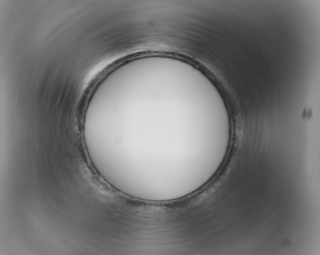 X0000110761070200906150925