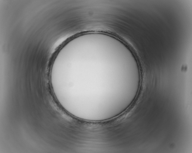 X0000110761071200906150925