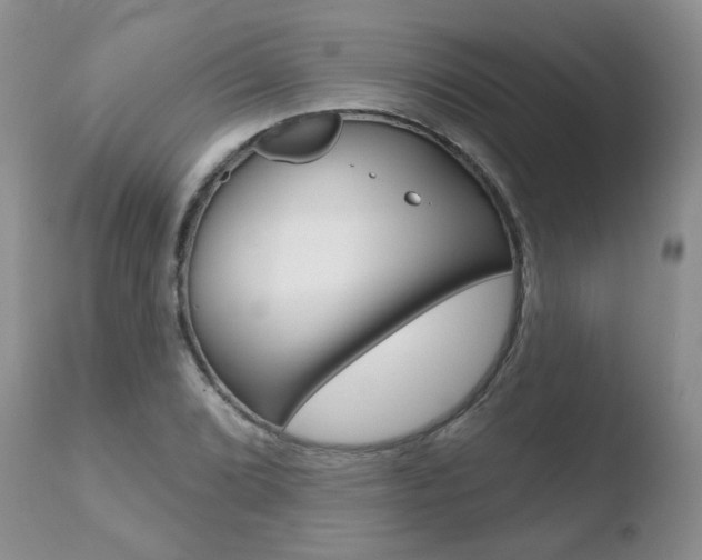 X0000110761072200906150925