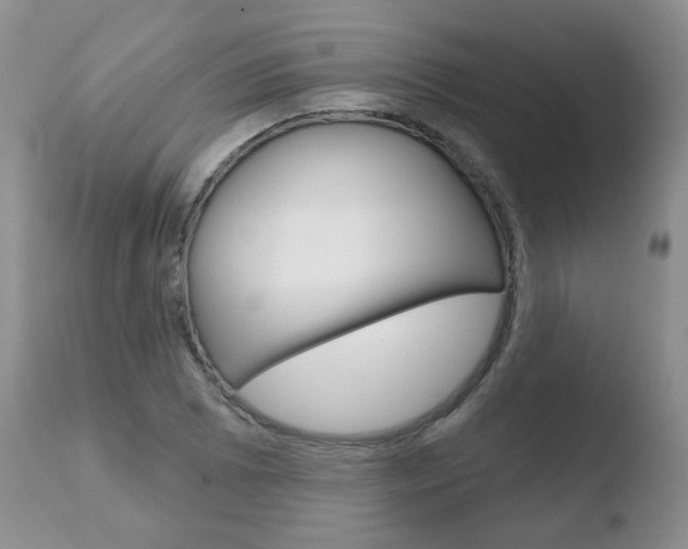 X0000110761073200906150925