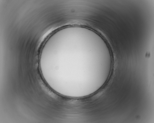 X0000110761075200906150925