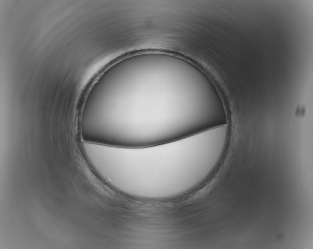 X0000110761077200906150924
