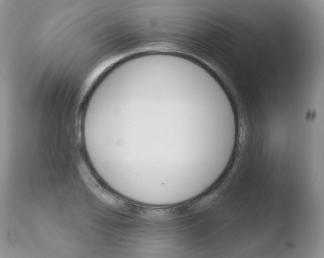 X0000110761078200906150924