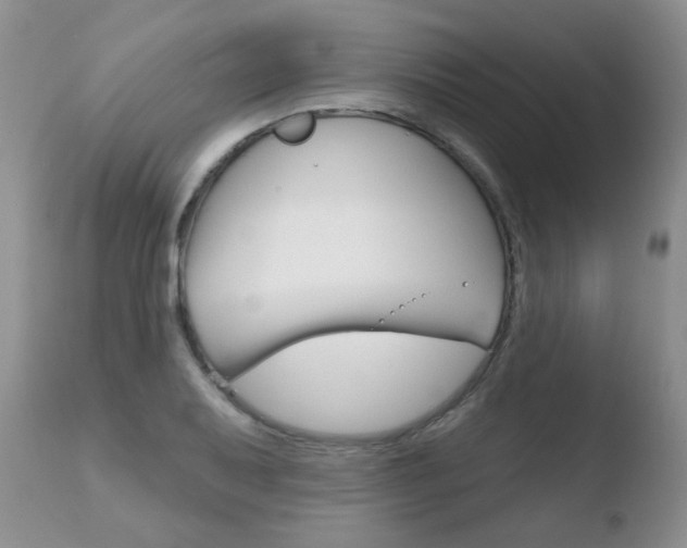 X0000110761079200906150924
