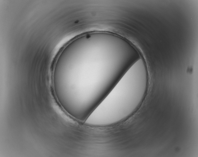 X0000110761080200906150924