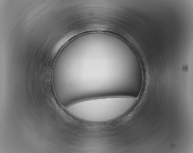 X0000110761081200906150924