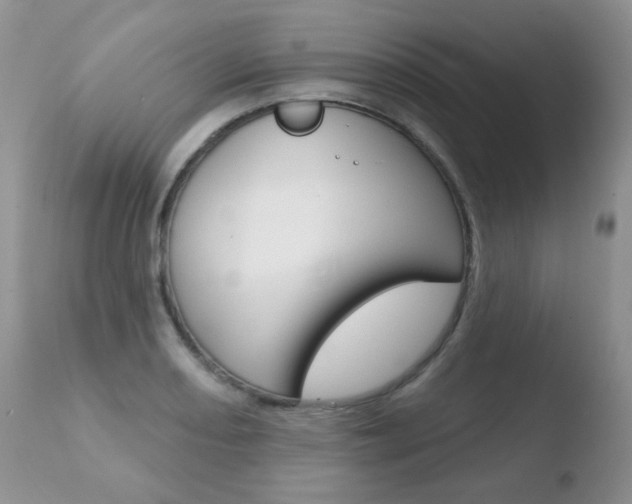 X0000110761082200906150924