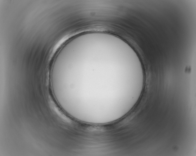 X0000110761083200906150924