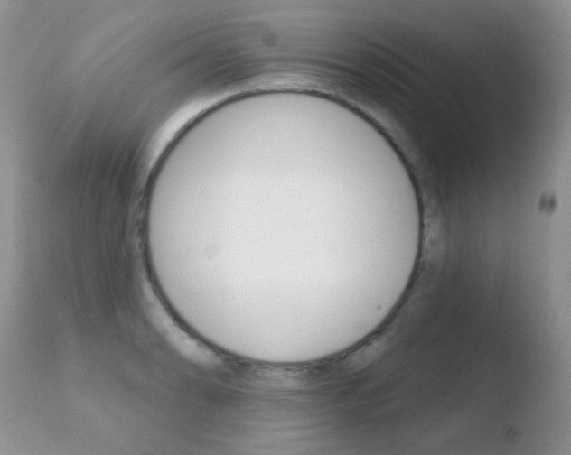 X0000110761086200906150924