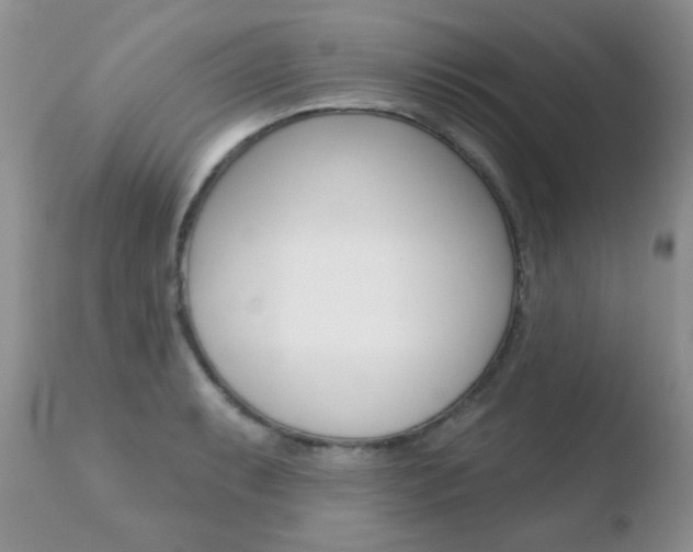 X0000110761087200906150924