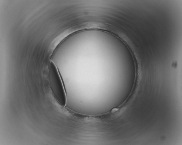 X0000110761089200906150924