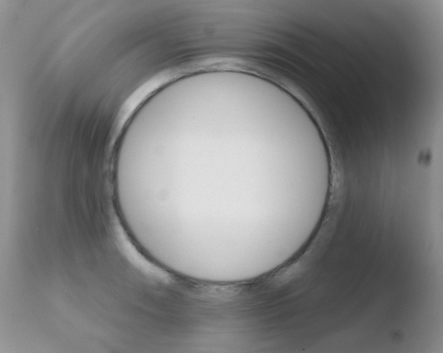 X0000110761090200906150924