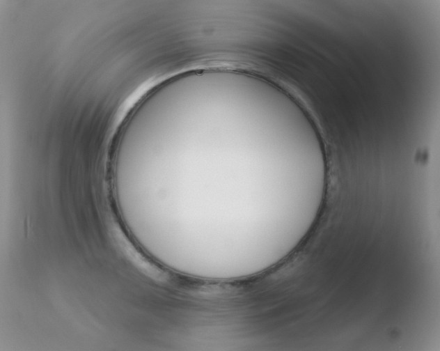 X0000110761091200906150924
