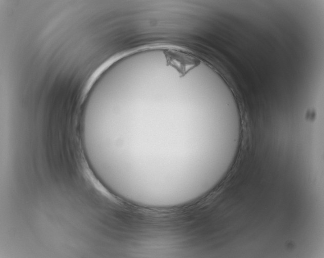 X0000110761092200906150924
