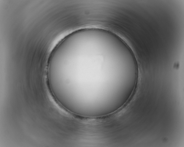 X0000110761093200906150924
