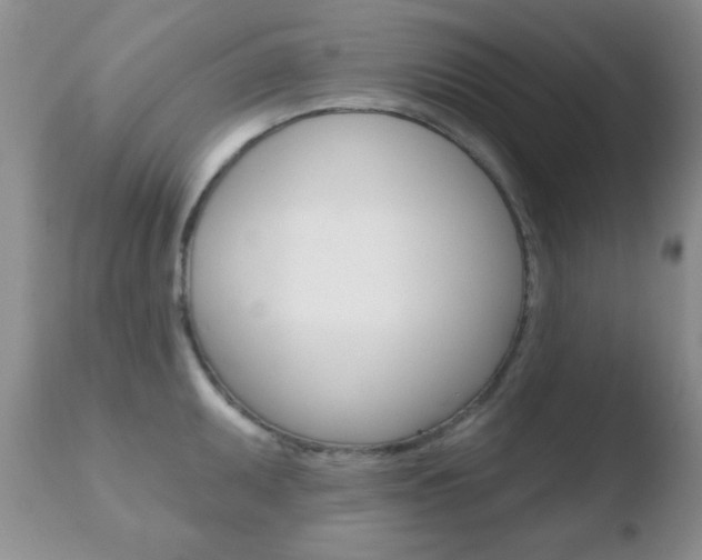 X0000110761095200906150924