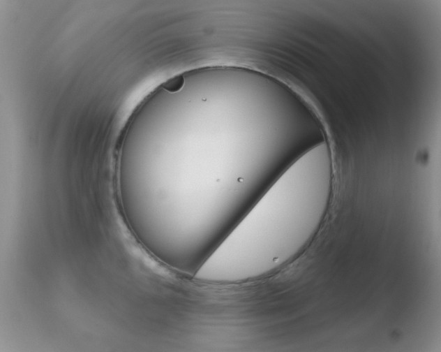 X0000110761096200906150924