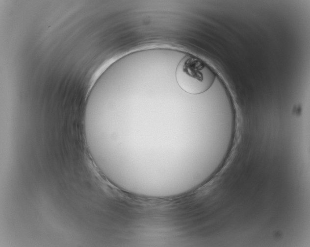 X0000110761097200906150924
