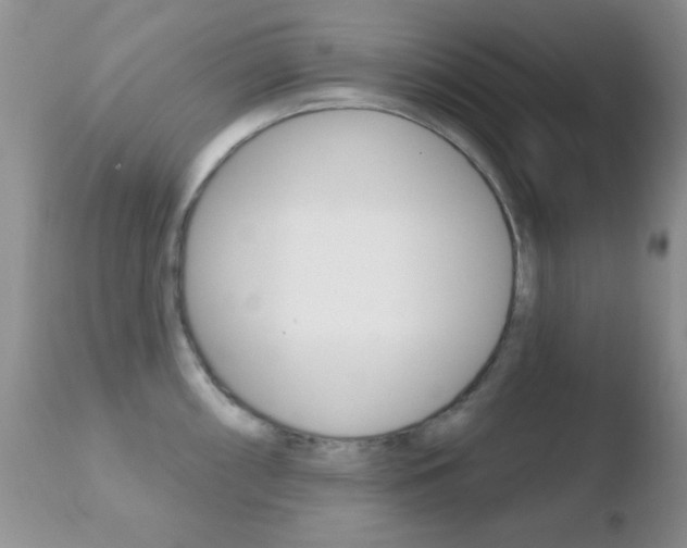 X0000110761098200906150924