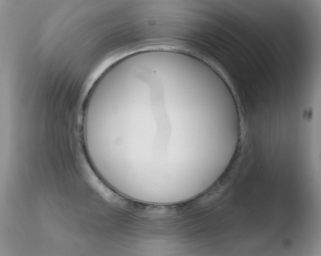 X0000110761099200906150924