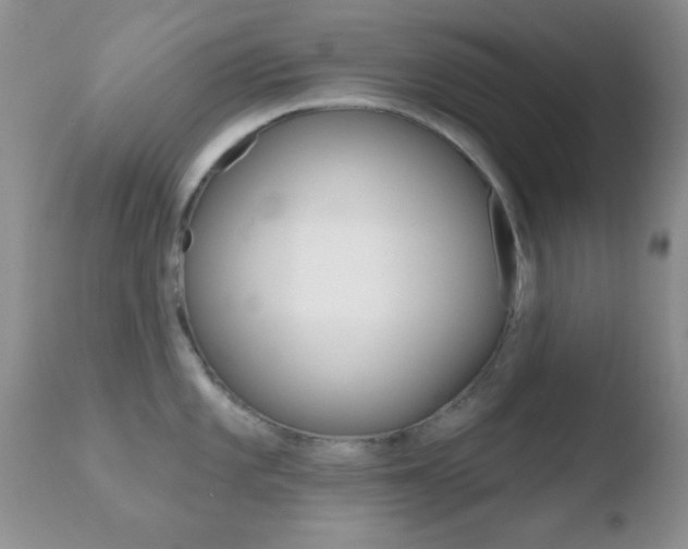X0000110761101200906150924