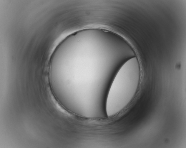 X0000110761102200906150924
