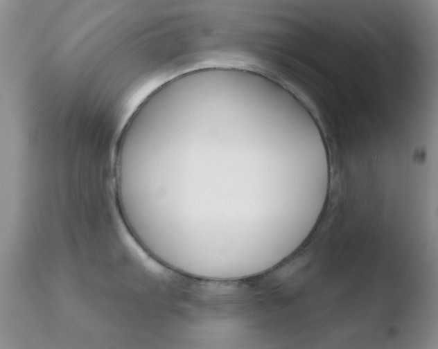 X0000110761103200906150924