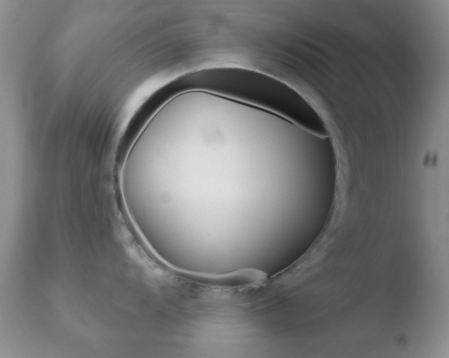 X0000110761104200906150924