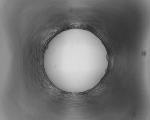 X0000110761105200906150923