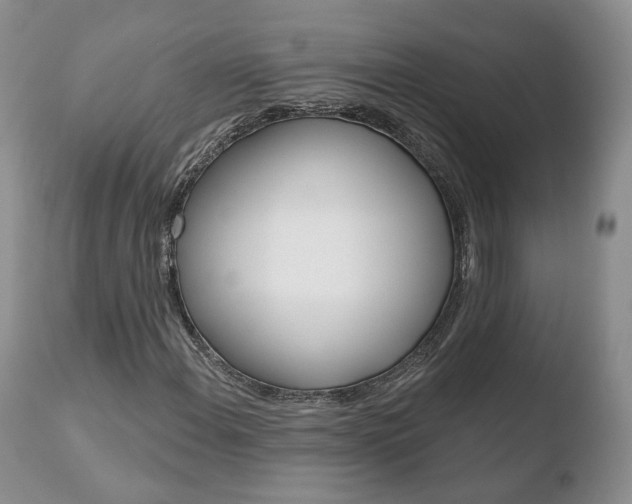 X0000110761108200906150923